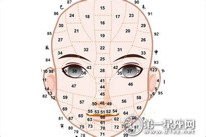 歲數面相年齡|面相看你每一個年齡段的運勢